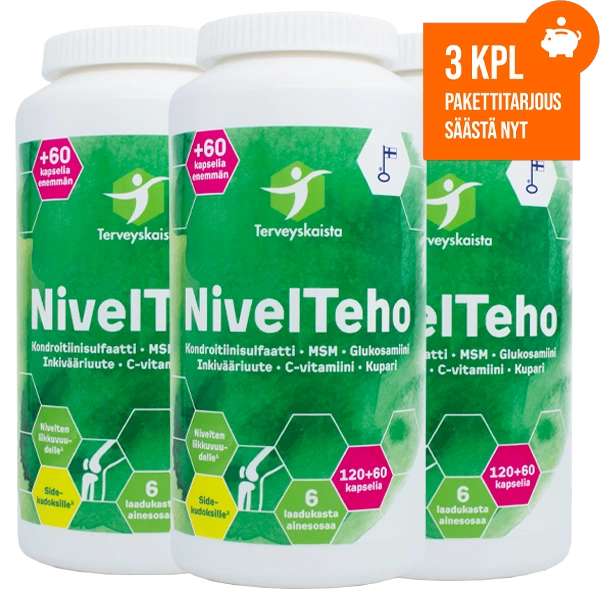 NivelTeho_Pakettitarjous.webp__PID:c2b7186d-361b-44eb-9c08-37cfc8295ada